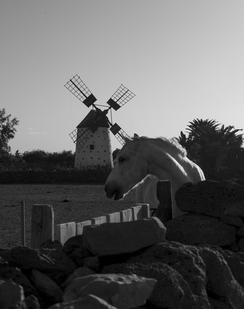 Fuerteventura Canary Islands 